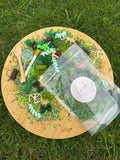Dinosaur Sensory Play Pack